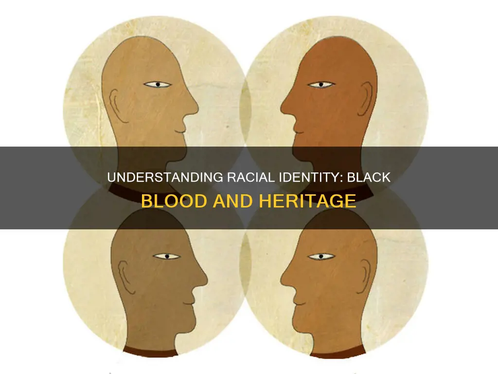 how much black blood to be considered black constitutional