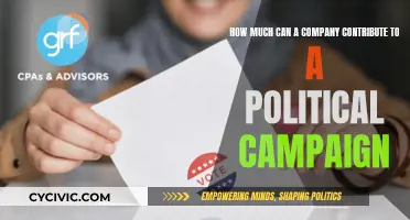 Political Campaign Contributions: Corporate Limits and Influence
