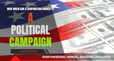 Donation Limits: Corporate Money in Political Campaigns