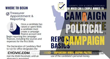 Donation Limits for Couples in Political Campaigns