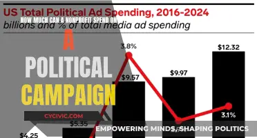 Nonprofit Political Campaign Spending: How Much is Too Much?