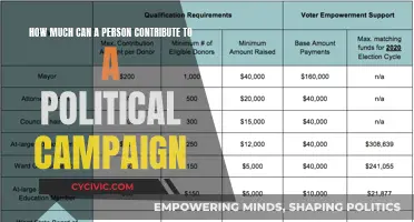 An Individual's Power: Political Campaign Contributions Explored