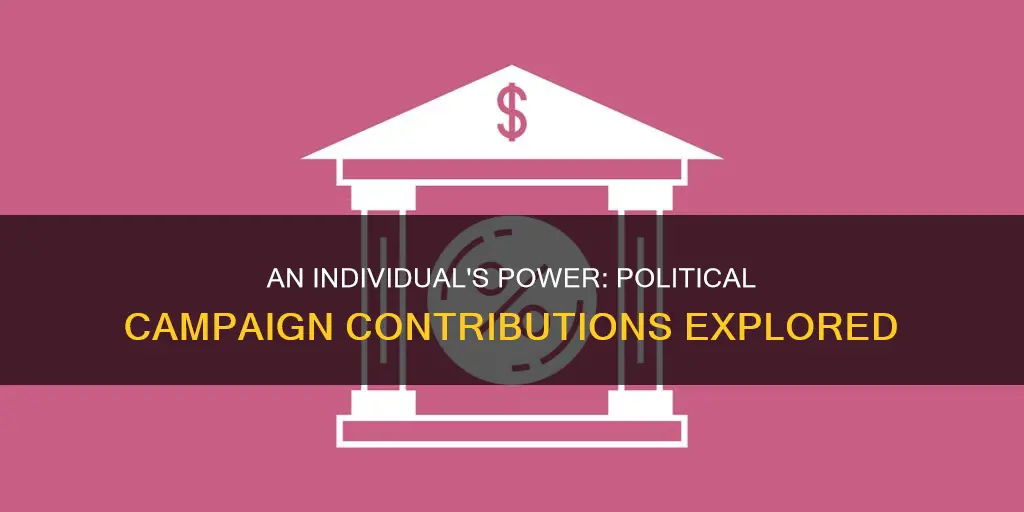 how much can a person contribute to a political campaign