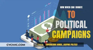 Donating to Political Campaigns: Understanding Your Limits
