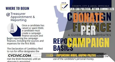 Political Action Committees: Donation Limits and Campaign Finance Laws