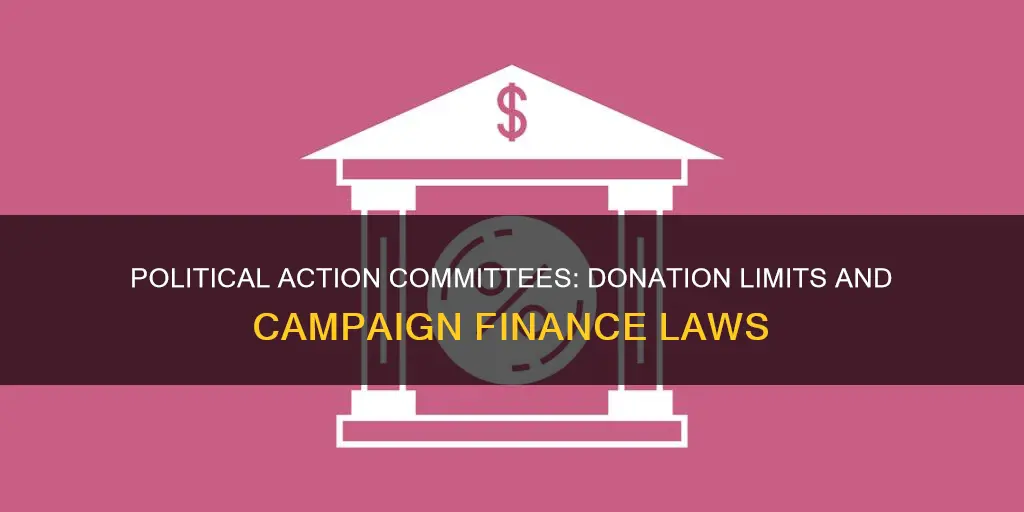 how much can political action committees donate per campaign