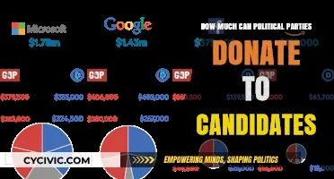 Political Party Donations: Limits and Impact on Candidate Campaigns