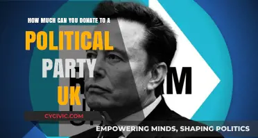 UK Political Donations: Limits and Rules for Party Contributions