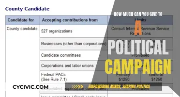Donations to Political Campaigns: How Much is Too Much?