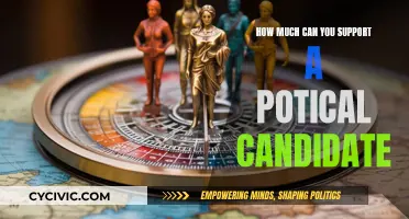 Supporting Political Candidates: How Far is Too Far?