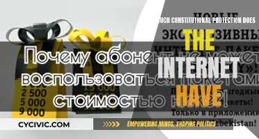 The Internet's Constitutional Rights: Exploring Protections and Limits