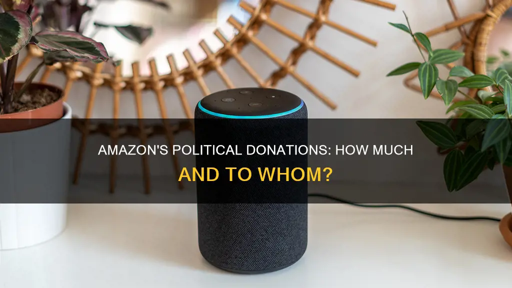 how much did amazon donate to political campaigns