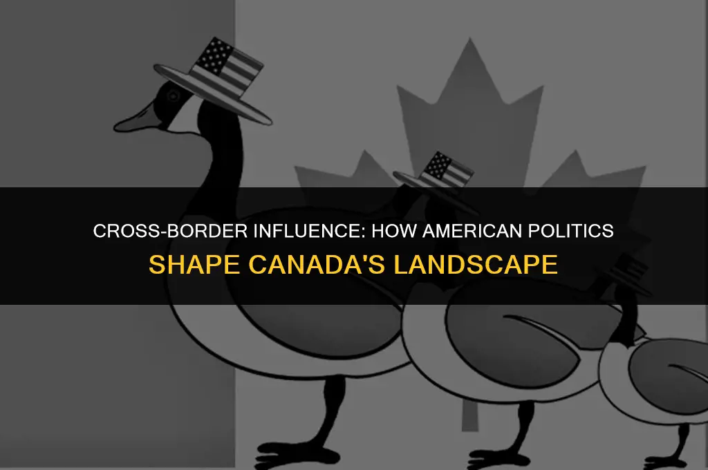 how much do american politics affect canada