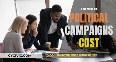 The High Cost of Political Campaigns: How Much?