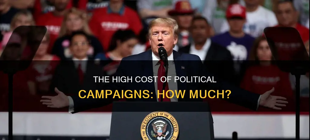 how much do political campaigns cost