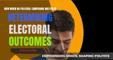 Political Campaigns: Do They Really Sway Electoral Outcomes?