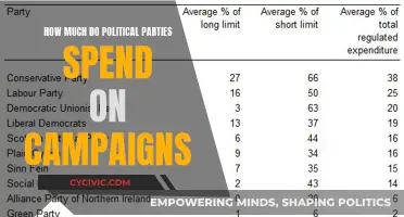 Political Campaign Spending: Millions for Victory