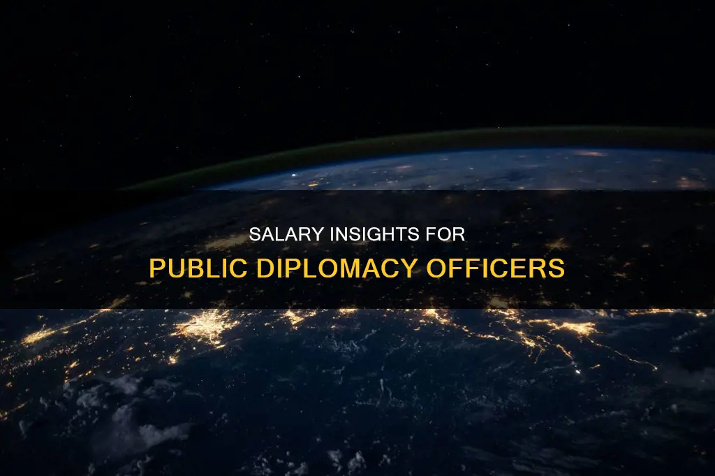 how much do public diplomacy officers make
