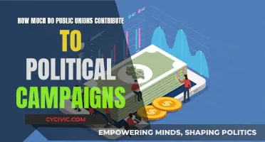 Unveiling Public Union Political Campaign Contributions