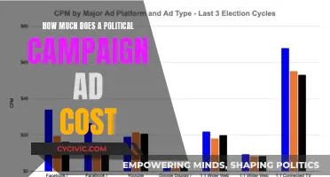 Political Campaign Ad Costs: How Much to Shell Out?