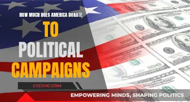 Political Campaign Donations: America's Generous Contributions