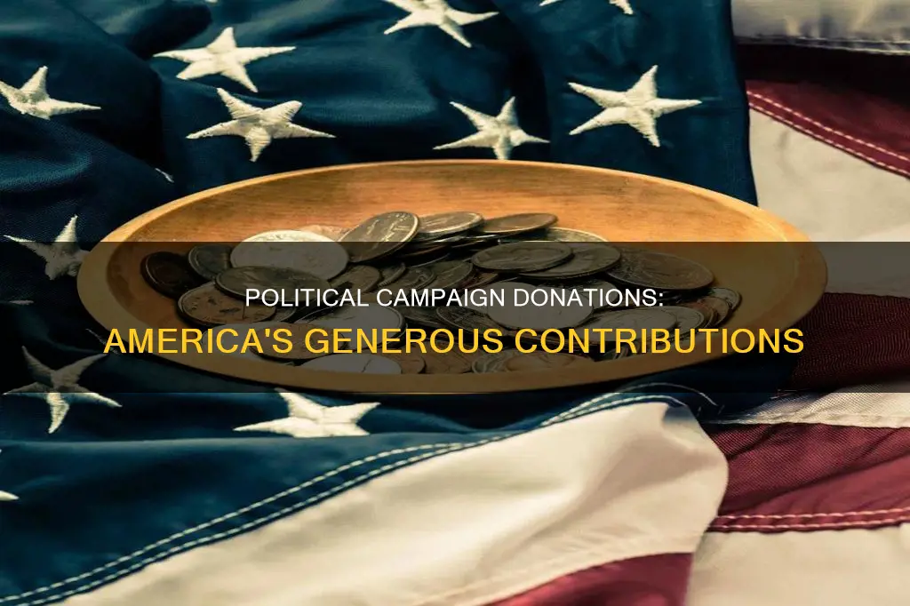 how much does america donate to political campaigns