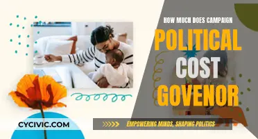 Campaign Costs for Political Hopefuls: Governor's Race