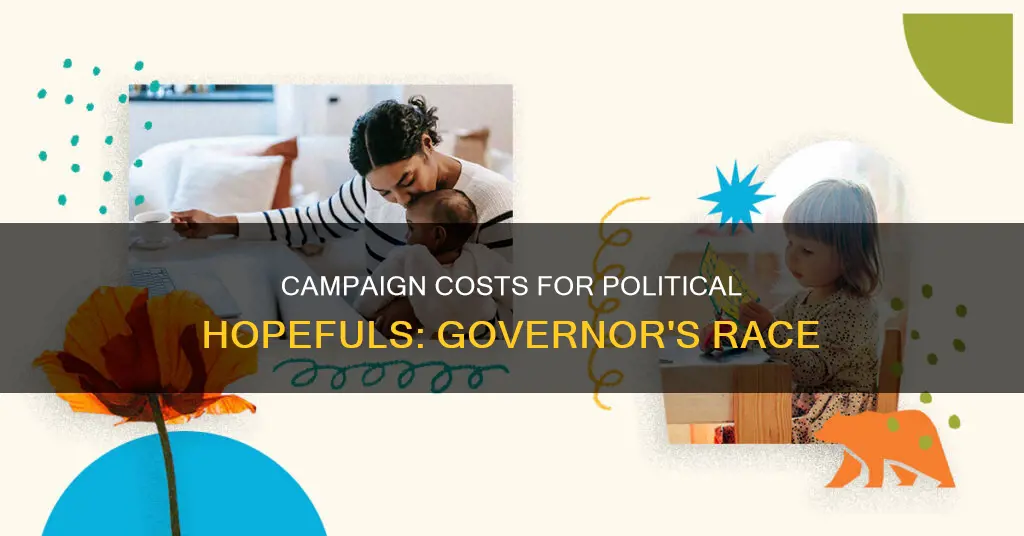 how much does campaign political cost govenor
