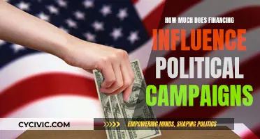 Money Talks: Financing's Grip on Political Campaigns