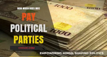 How Much Does INEC Pay Political Parties in Nigeria?