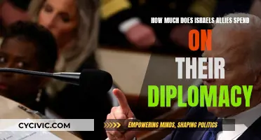 Allies' Spending: The Cost of Diplomacy with Israel