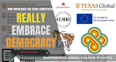 Texas Constitution: Truly Democratic?