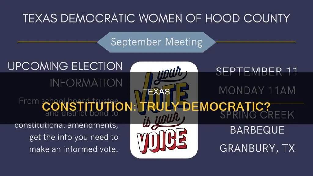 how much does the texas constitution really embrace democracy