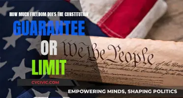 The Constitution: Freedom's Friend or Foe?