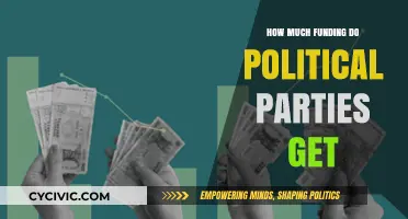 Unveiling Political Party Funding: Sources, Amounts, and Transparency Explored
