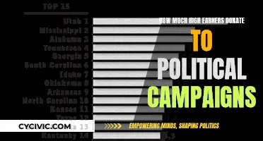 Wealthy Donors: Political Campaign Contributions and Their Impact