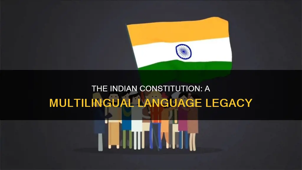 how much language in indian constitution