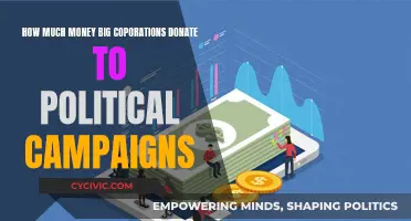 Big Money Politics: Corporate Donations to Campaigns