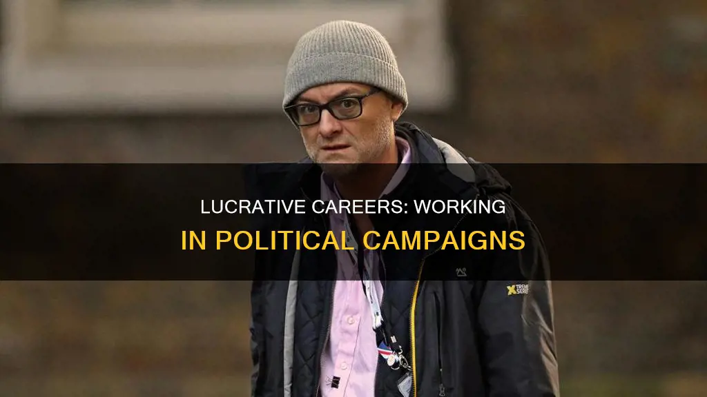 how much money can you make working in political campaigns