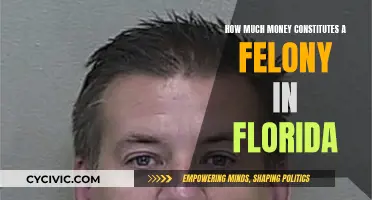 Money and Felony: Florida's Threshold for a Felony Charge