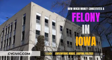 Iowa Felony Thresholds: Understanding the Monetary Limits