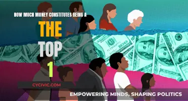 Wealth's Pinnacle: Defining the Top 1%