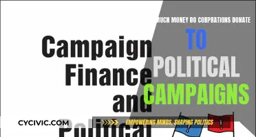 Political Campaign Donations: Corporate Funding Influence