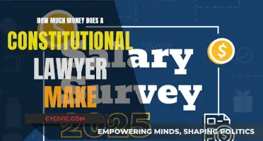 Constitutional Lawyers: How Much Money Do They Make?