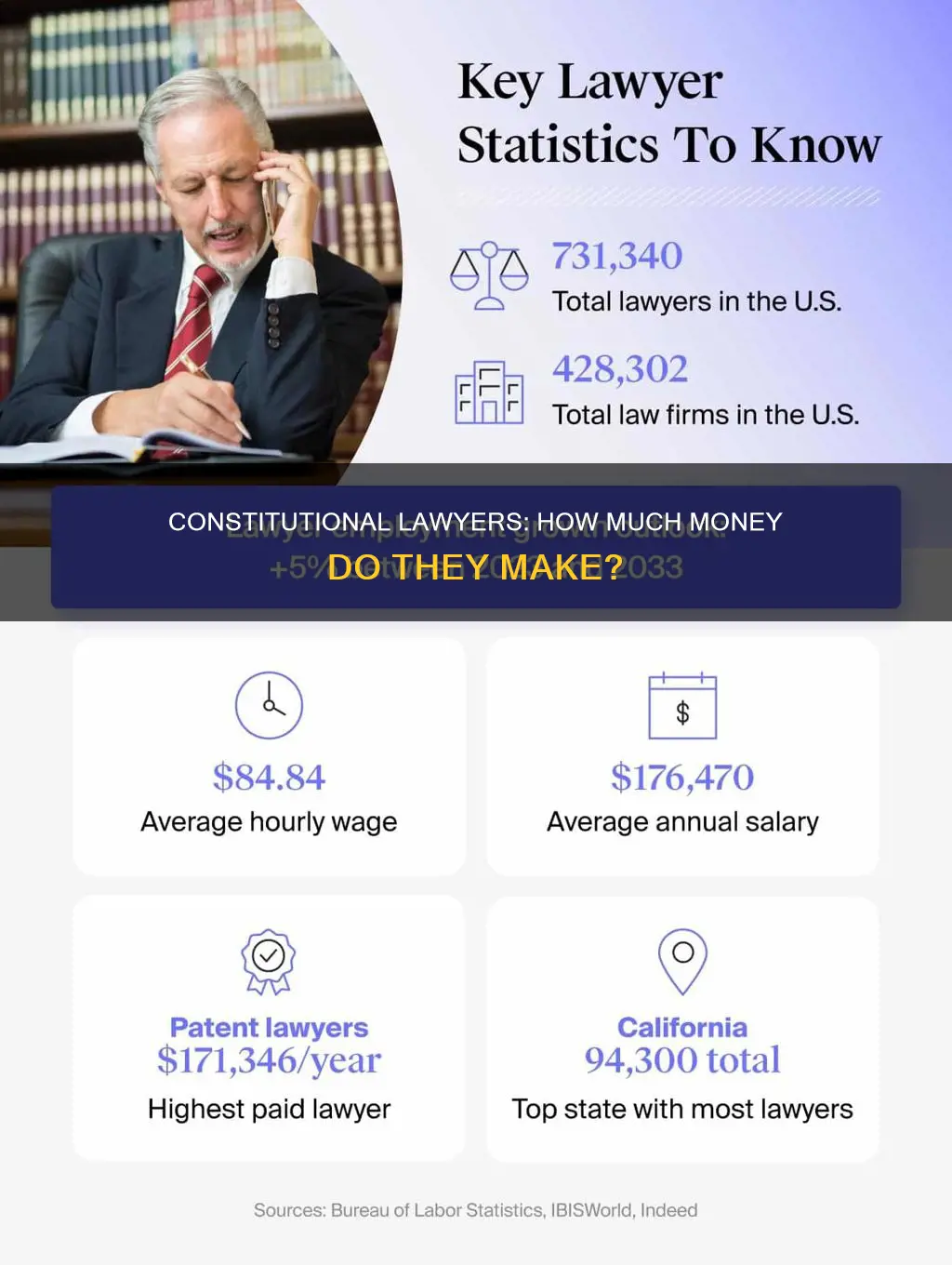 how much money does a constitutional lawyer make