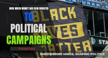 BLM's Political Donations: How Much and To Whom?