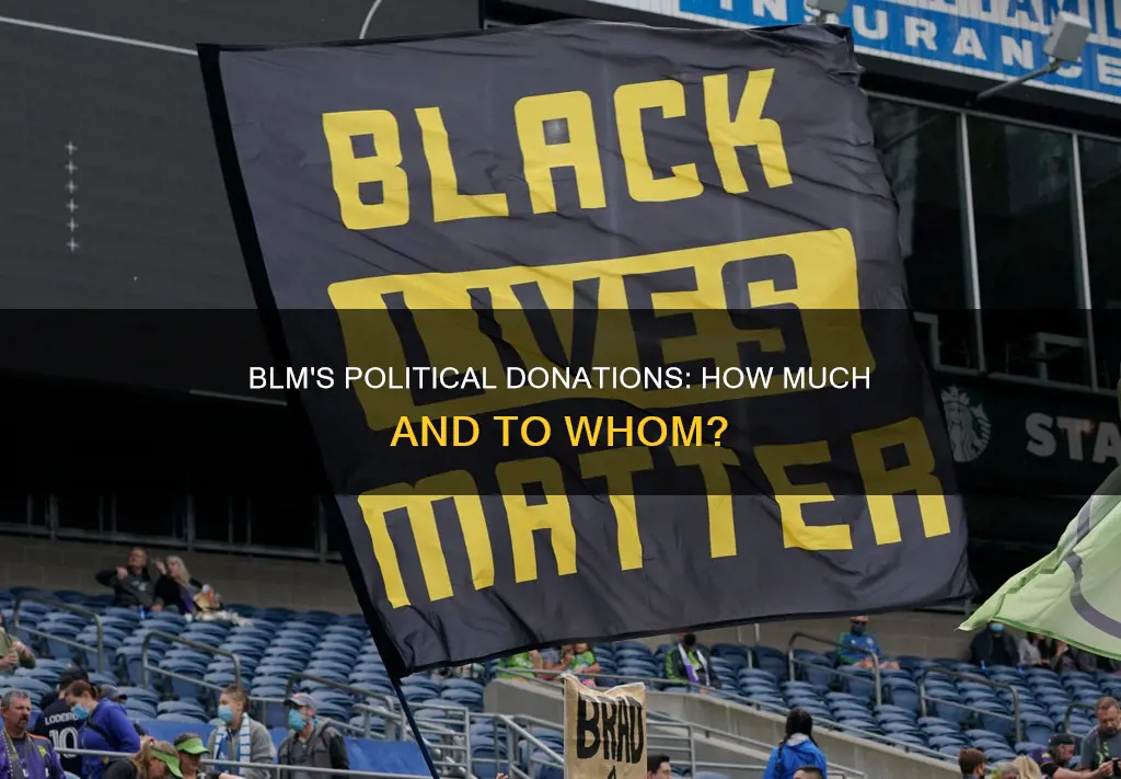 how much money has blm donated to political campaigns