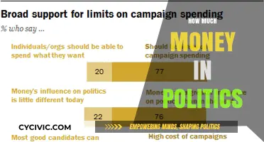 The Hidden Influence: Money's Grip on Political Power Explained