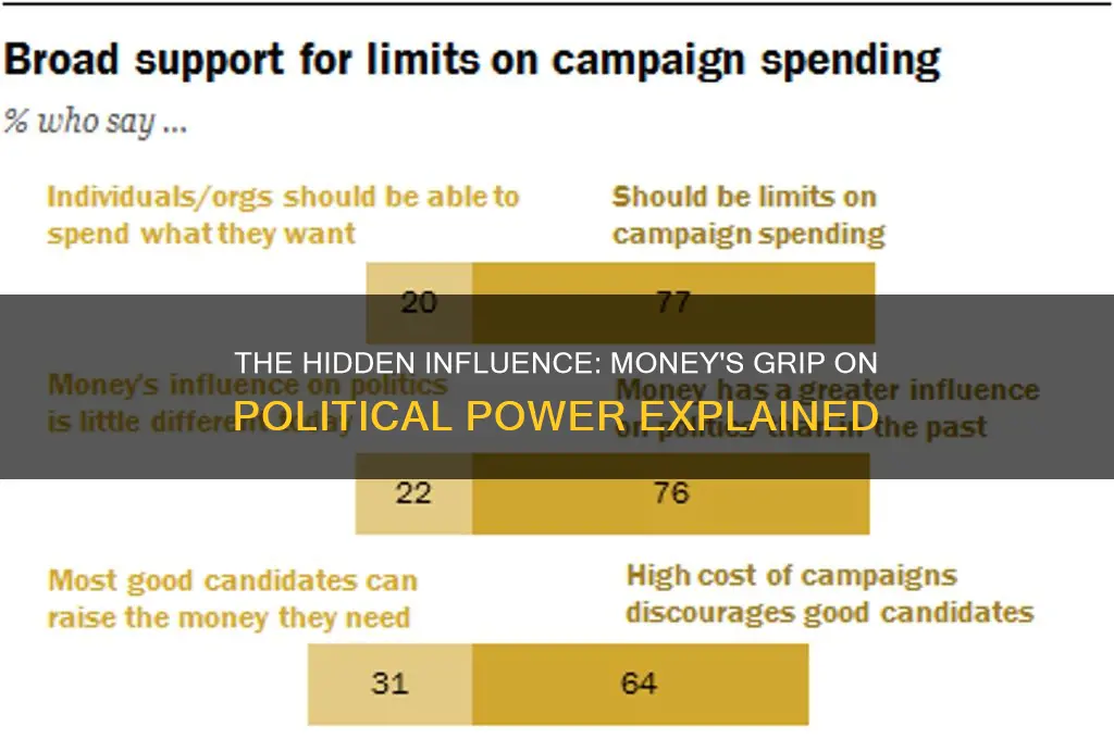how much money in politics