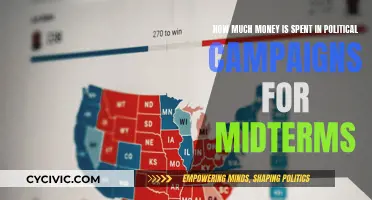 Money and Midterms: Political Campaign Spending